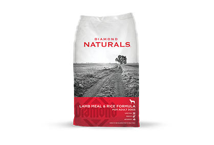 dn lmr bagfront 418x283